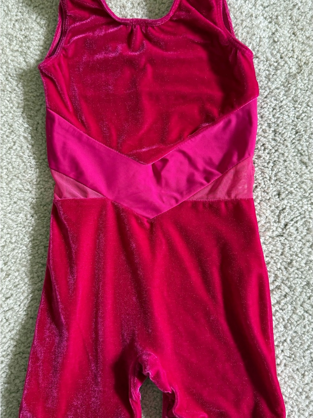 Source Unknown Hot Pink Sparkle Velvet Dance Leotard